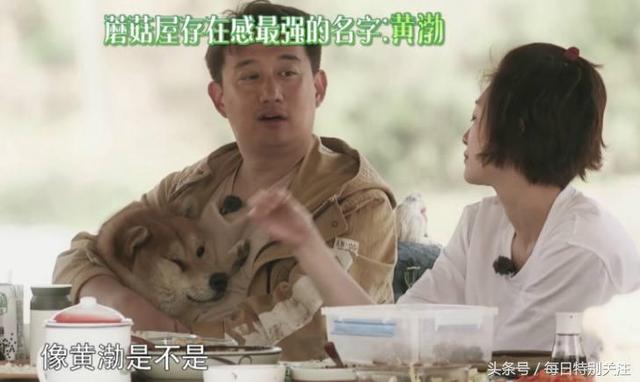 向往的生活黄渤来了黄磊真的开心(黄渤捣乱向往的生活)(7)