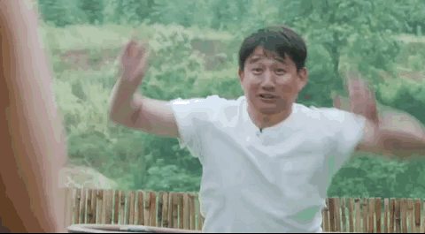 向往的生活黄渤来了黄磊真的开心(黄渤捣乱向往的生活)(2)