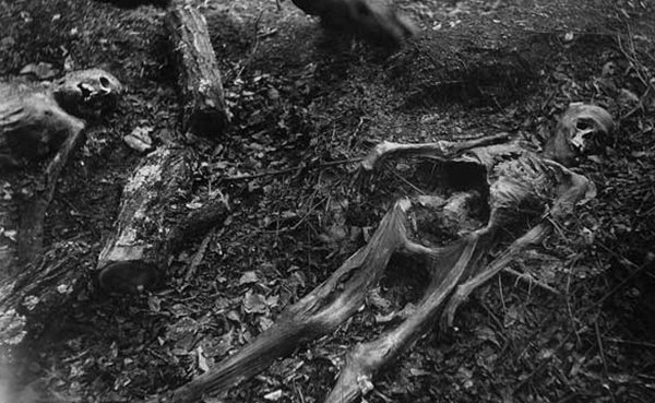 是什么缘故牺牲人最多?人类牺牲缘故排名前10