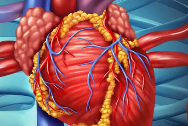 是什么缘故牺牲人最多?人类牺牲缘故排名前10