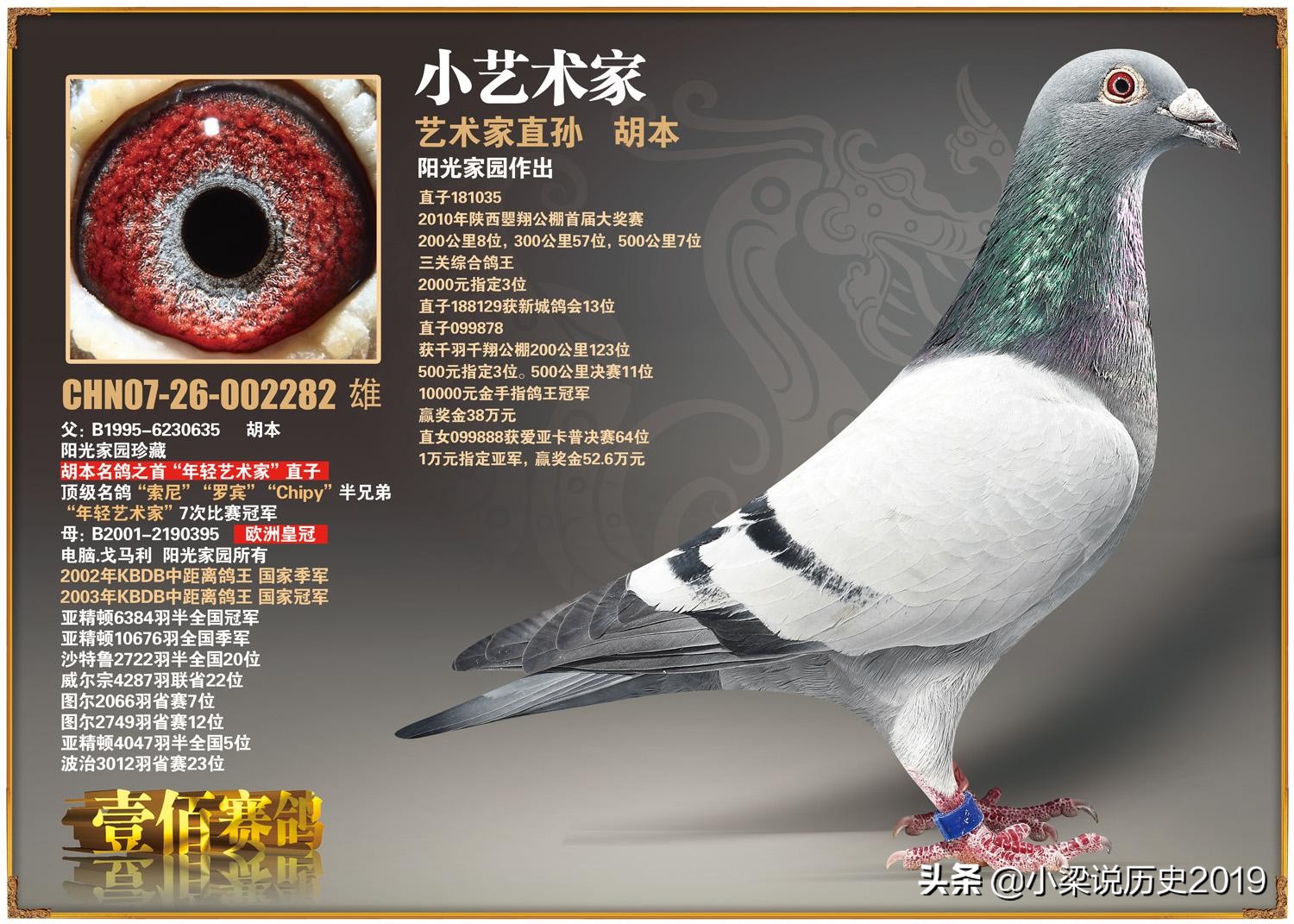 俗话说放鸽子是什么意思(放鸽子是什么意思)(图2) 俗话说放鸽子是什么意思(放鸽子是什么意思)(图2)