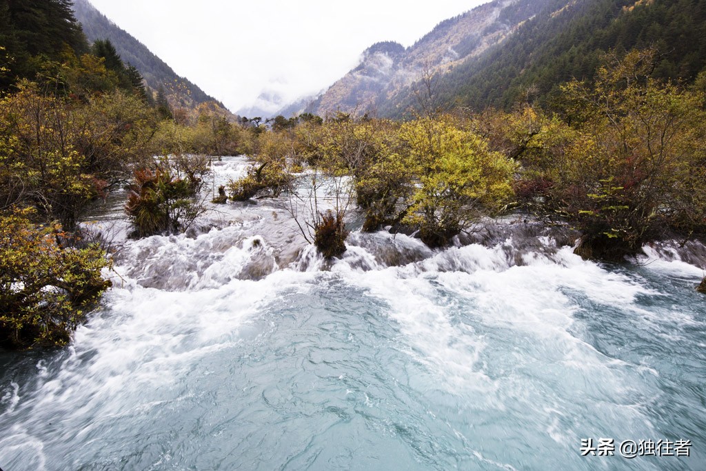 九寨沟树正瀑布简介（九寨沟瀑布叫什么）(图4)