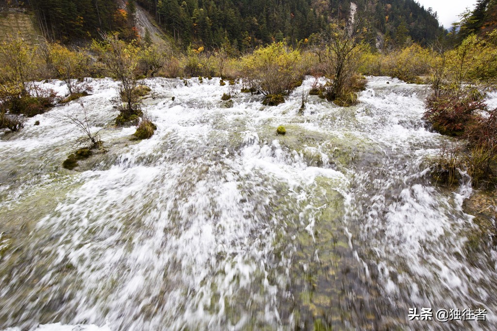 九寨沟树正瀑布简介（九寨沟瀑布叫什么）(图5)