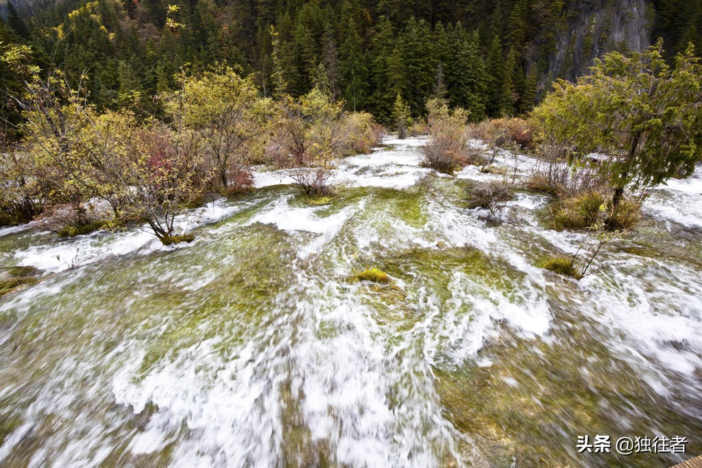 九寨沟树正瀑布简介（九寨沟瀑布叫什么）(图6)