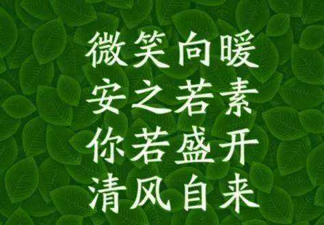 微笑向暖安之若素你若盛开清风自来大致是什么意思 微笑向暖安之若素的意思-图1