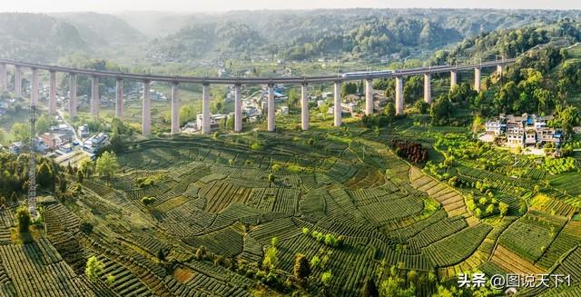 安徽三支一扶两年后怎么办（安徽三支一扶期满后有编制吗）(图4)