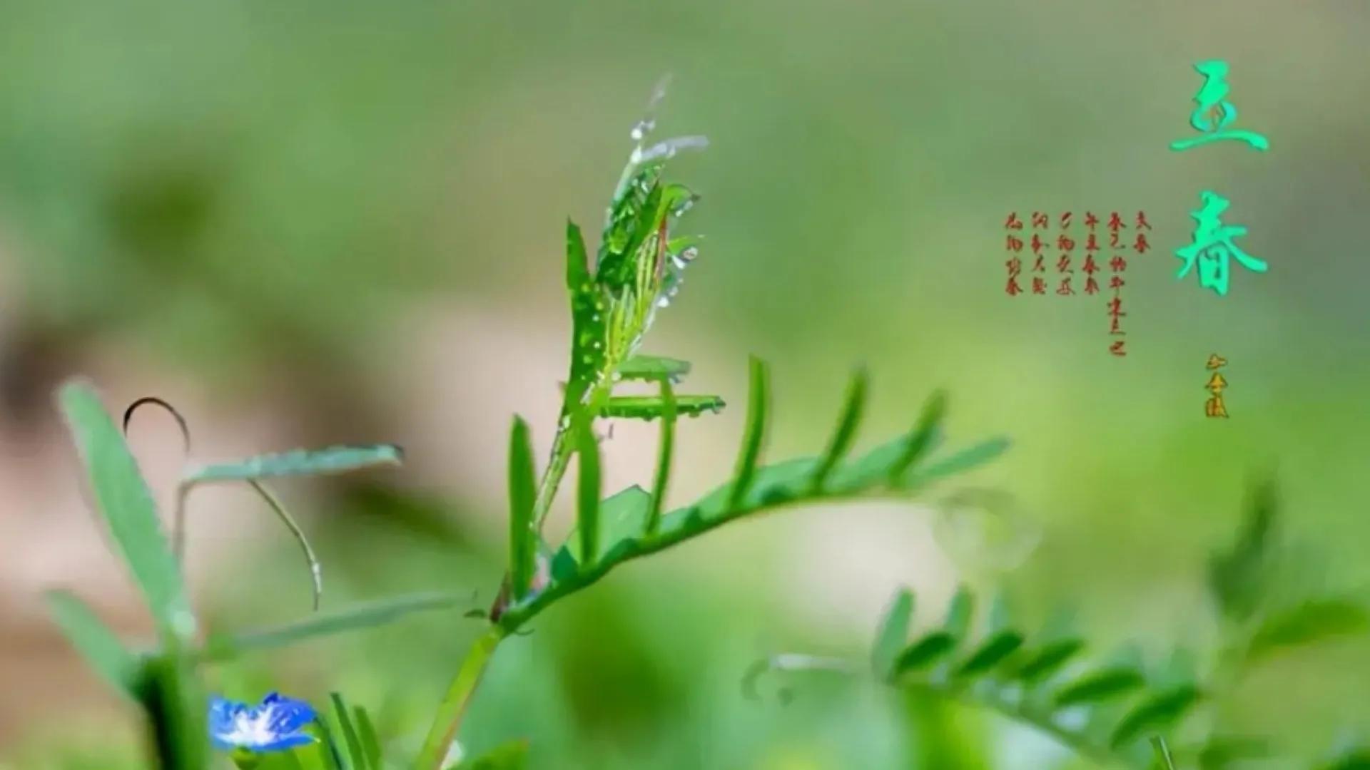 立春之日说“立春”，这些禁忌应谨记，以免旁人说长短