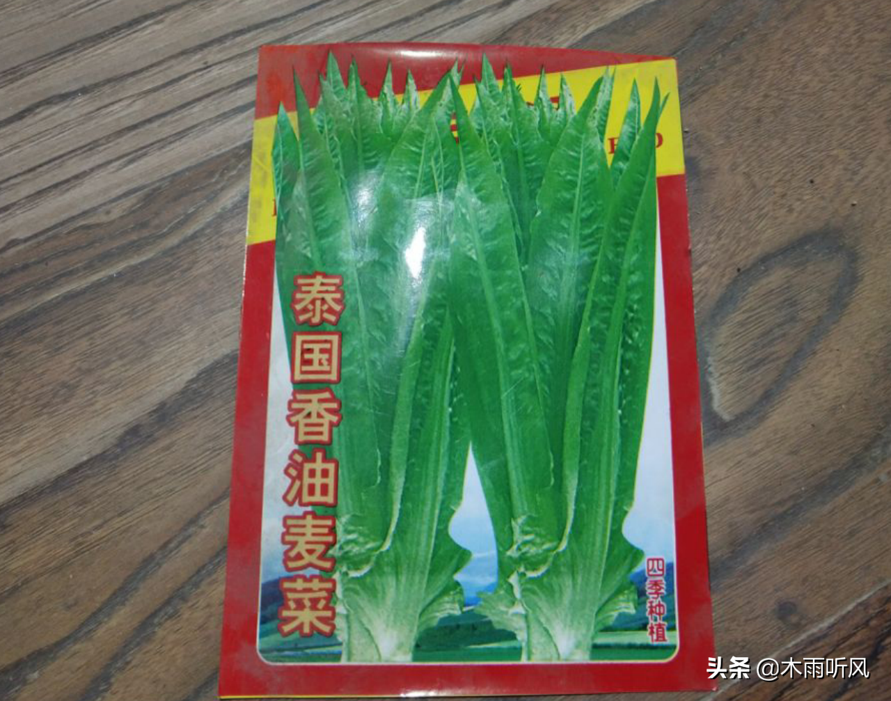 油麦菜何时播种及方法(油麦菜什么时候播种最好)(图2) 油麦菜何时播种及方法(油麦菜什么时候播种最好)(图2)