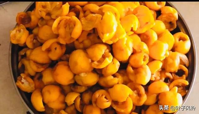 自制枇杷膏教程（制作枇杷膏的过程）(3)