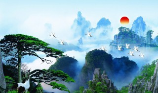 黄山迎客松简介 关于黄山迎客松的简介-图1 黄山迎客松简介 关于黄山迎客松的简介-图1