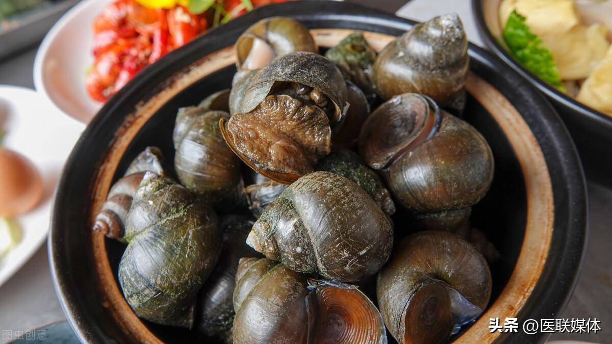 福寿螺与田螺的对比,区别很大的（田螺和福寿螺怎么区分图）(图1)