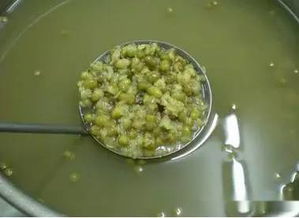 绿豆汤熬的时间越长解暑效果越好吗-图1 绿豆汤熬的时间越长解暑效果越好吗-图1
