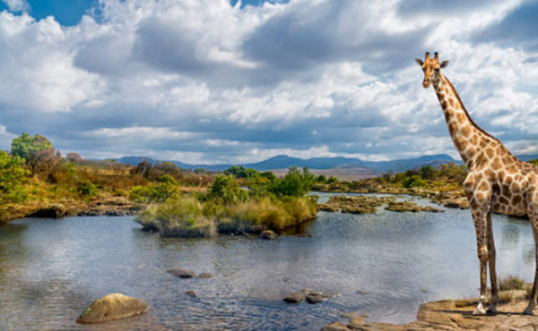 人不喝水不妨活几天?12条惊人的用水究竟