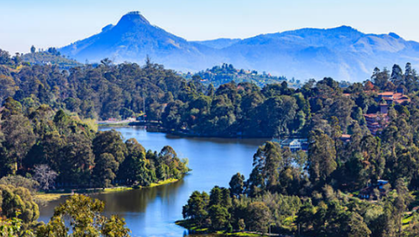 人不喝水不妨活几天?12条惊人的用水究竟