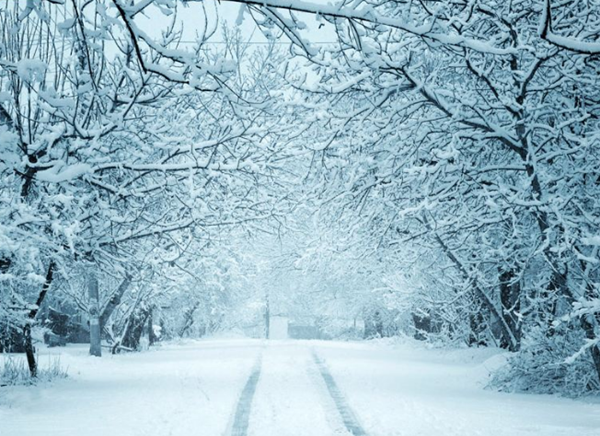 冻尸笑面是果然么?笑面死者局面科学阐明