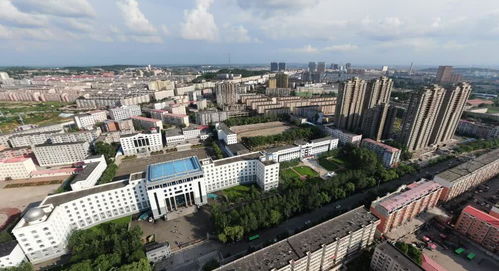 鹤岗在哪 鹤岗具体在哪里-图2 鹤岗在哪 鹤岗具体在哪里-图2