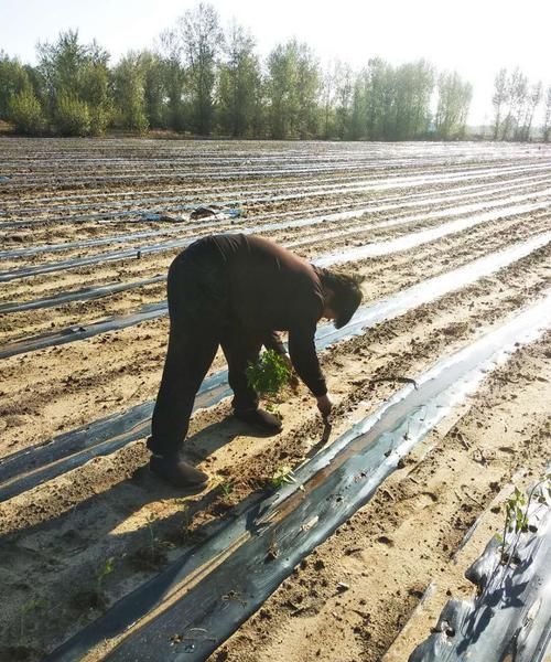 作为一名大学生吃苦耐劳的精神