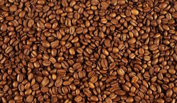 咖啡豆的种类,咖啡豆的种类图5