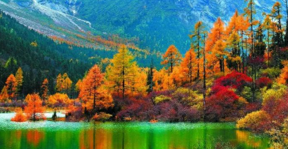 理县美食推荐,汶川人喜欢吃什么图8