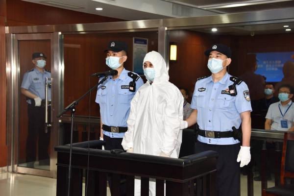 “辣笔小球”仇子明诋毁戍边英雄，一审获刑8个月