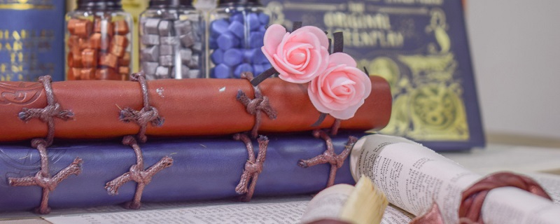 成语博士买驴讽刺的是什么