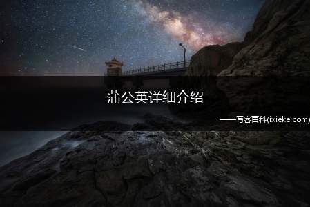 蒲公英详细介绍（蒲公英有哪些特点）