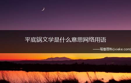 平底锅文学是什么意思网络用语
