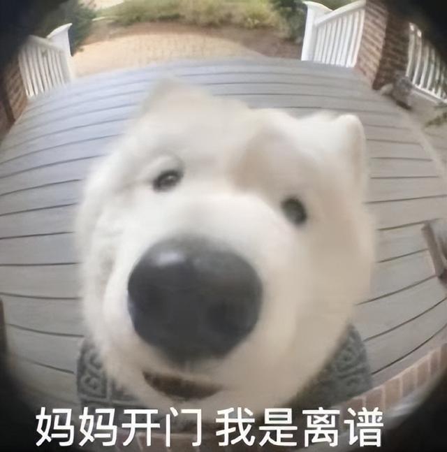 官方谈椰树集团直播争议(椰树搞擦边直播)(20)