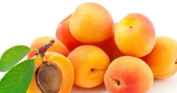 新鲜杏子的皮可以吃,新鲜杏子的皮可以吃吗图2