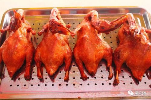 茶油鸭配方(茶油鸭的36种配方)-第1张图片-