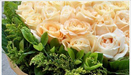 香槟玫瑰花语,9朵香槟金玫瑰花语代表什么意思图1