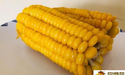 熟玉米隔夜能吃吗