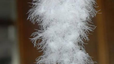 90白鸭绒和95白鸭绒的区别,95白鹅绒被是什么意思图1