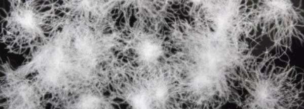 90白鸭绒和95白鸭绒的区别,95白鹅绒被是什么意思图2