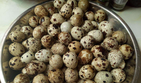 生的鹌鹑蛋能放多久,鹌鹑蛋保质期是多久?图4