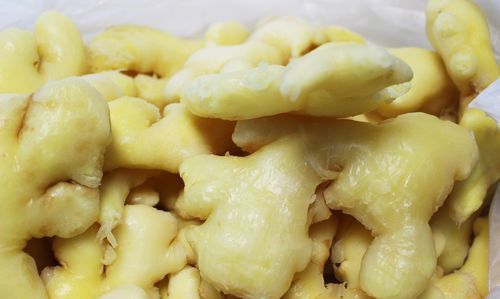 仔姜怎么读 仔姜的拼音和解释是什么