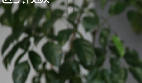 电子邮件是什么(电子邮件是—种用电子手段提供信息交换的通信方式)