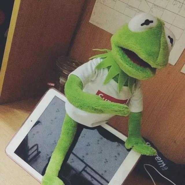 青蛙人形头像帅气(青蛙头像最近超火的头像)(18)