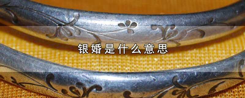 银婚是什么意思(银婚是结婚二十五周年的意思)