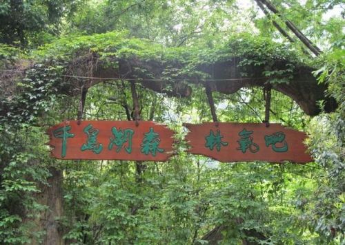 家用吸氧机哪一种最适合家庭用？家用吸氧机一般选几升-第1张图片-