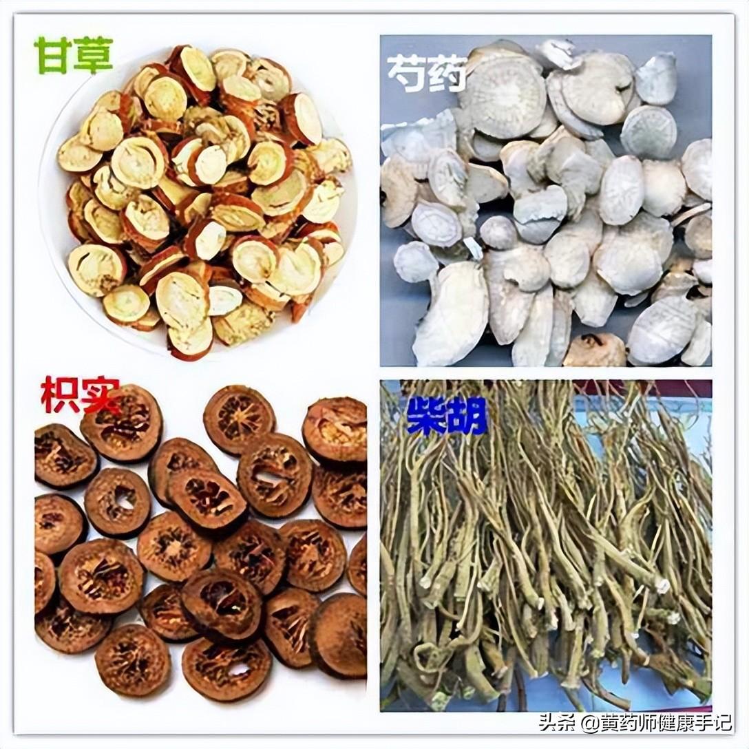 白芍图片大全(白芍的作用和功效)