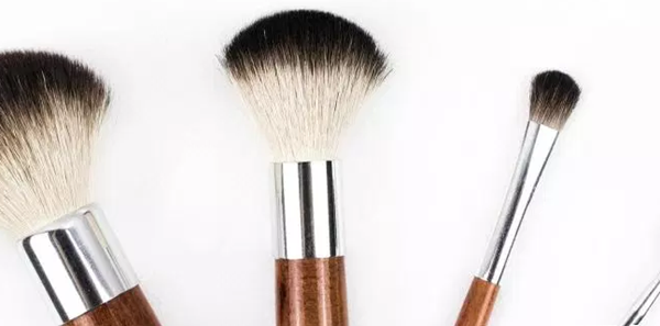 芦荟有什么妙用?芦荟的十大功能与效率