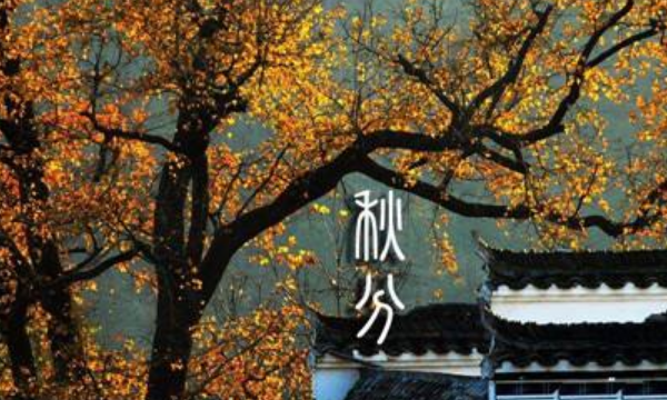 秋分意味着什么意思,十二节气秋分是什么意思图1