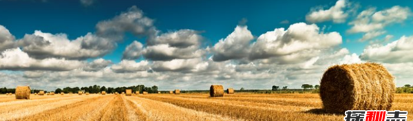 农业为什么这样要害?农业的十大位置和效率