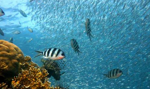 海洋局面有哪些?清点海洋中的10个神奇局面(实在存在)