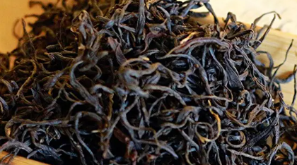 福建特产茶叶,福建乌龙茶有哪些品种图13