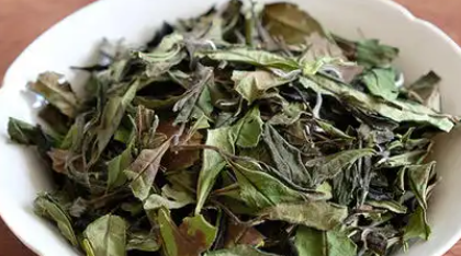 福建特产茶叶,福建乌龙茶有哪些品种图11