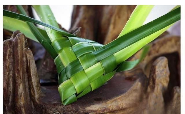 包完粽子剩下的粽子叶怎么保存