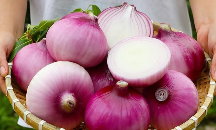 洋葱能放冰箱里冷藏吗