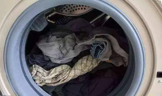 公共洗衣机可以洗内裤,公共洗衣机可以洗内裤吗图2